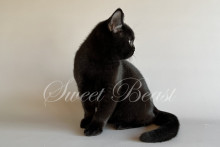 Labranj (Лабрандж)